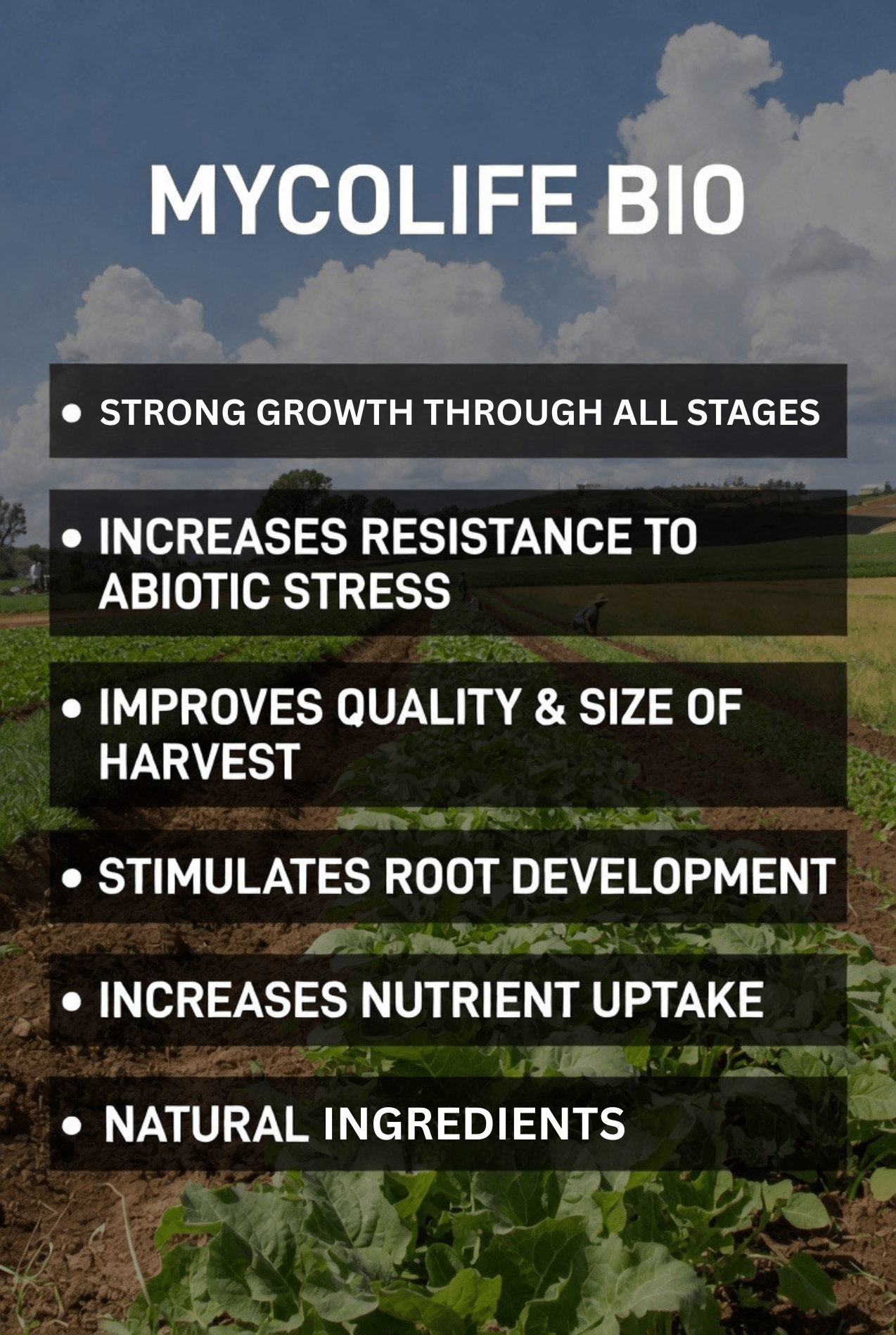 MycoLife Bio 2oz - Land Agronomics